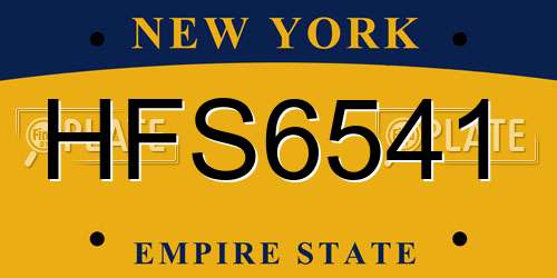 HFS6541 New York License Plate