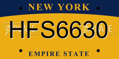 HFS6630 New York License Plate