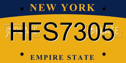 HFS7305 New York License Plate