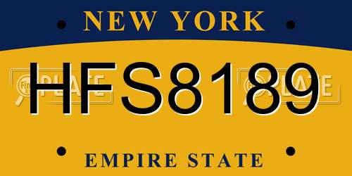 HFS8189 New York License Plate