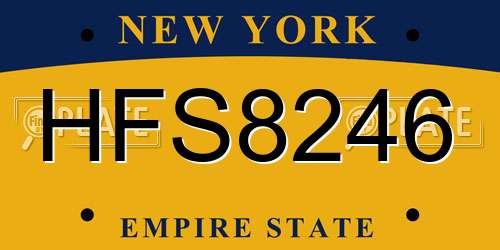 HFS8246 New York License Plate