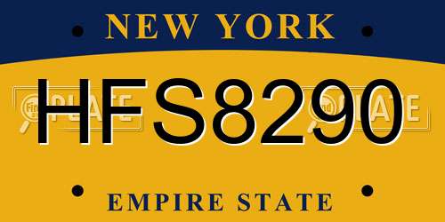 HFS8290 New York License Plate