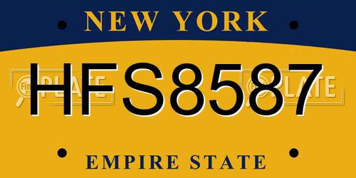HFS8587 New York License Plate