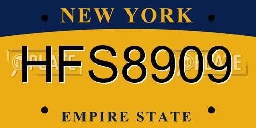 HFS8909 New York License Plate