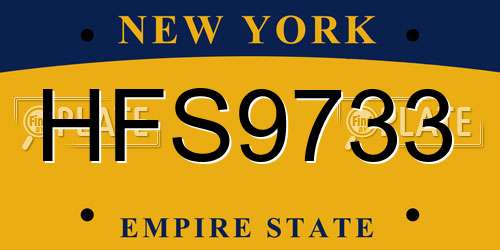 HFS9733 New York License Plate