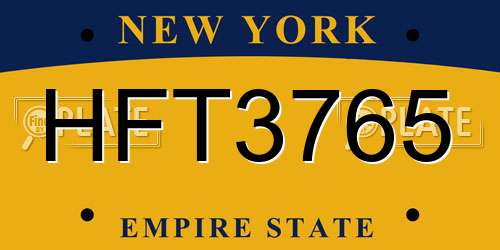 HFT3765 New York License Plate