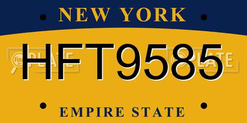 HFT9585 New York License Plate
