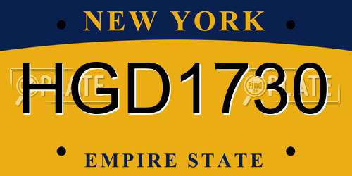 HGD1730 New York License Plate