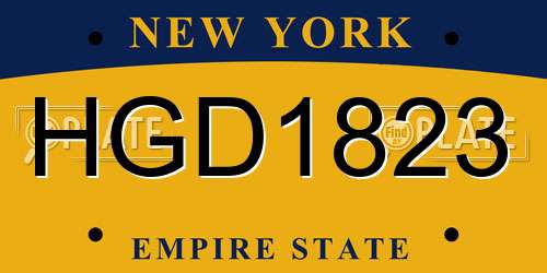 HGD1823 New York License Plate