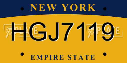 HGJ7119 New York License Plate