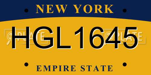 HGL1645 New York License Plate