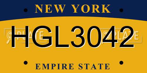 HGL3042 New York License Plate