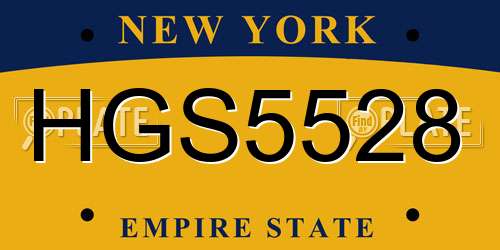 HGS5528 New York License Plate