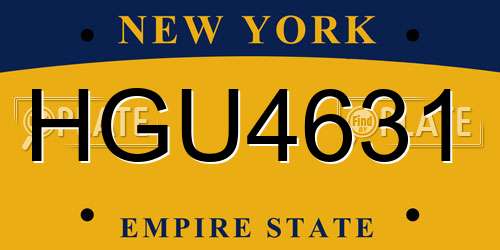 HGU4631 New York License Plate