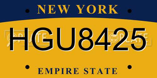 HGU8425 New York License Plate