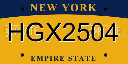 HGX2504 New York License Plate