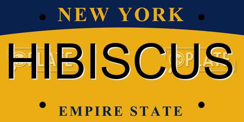 HIBISCUS New York License Plate