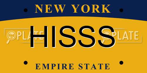 HISSS New York License Plate