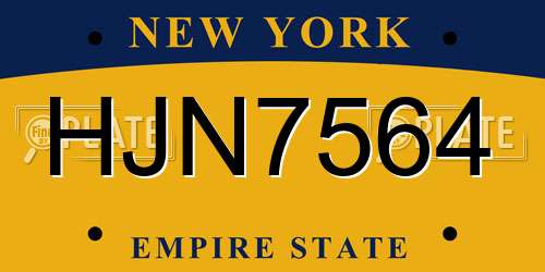 HJN7564 New York License Plate