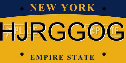 HJRGGOG New York License Plate