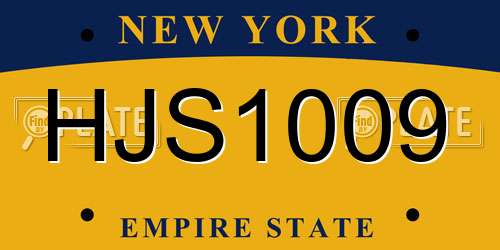 HJS1009 New York License Plate