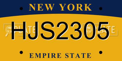 HJS2305 New York License Plate