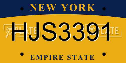 HJS3391 New York License Plate
