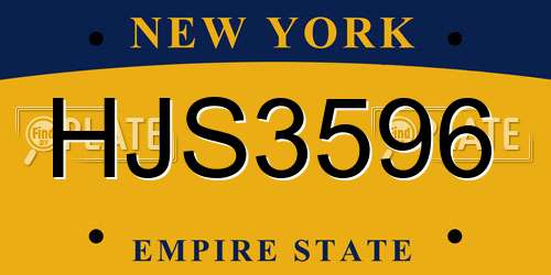 HJS3596 New York License Plate