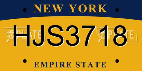 HJS3718 New York License Plate