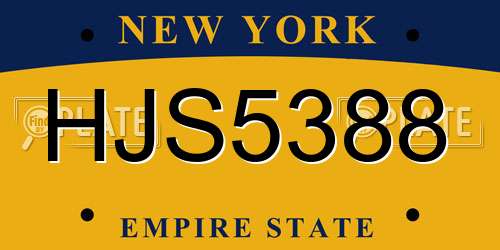 HJS5388 New York License Plate