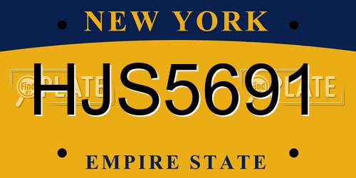 HJS5691 New York License Plate