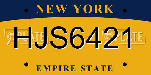 HJS6421 New York License Plate