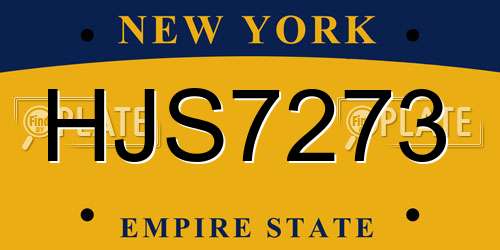 HJS7273 New York License Plate