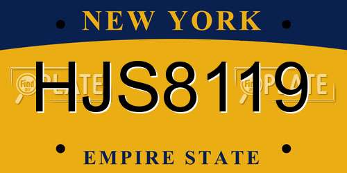 HJS8119 New York License Plate