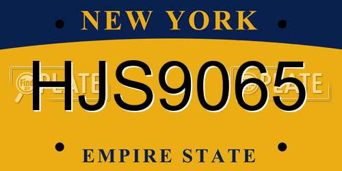 HJS9065 New York License Plate