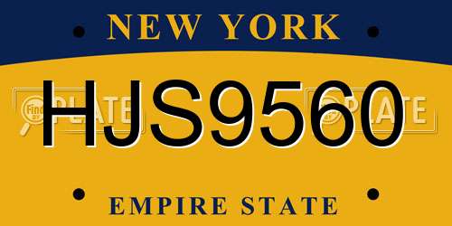 HJS9560 New York License Plate