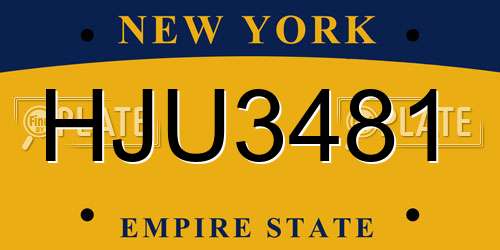 HJU3481 New York License Plate