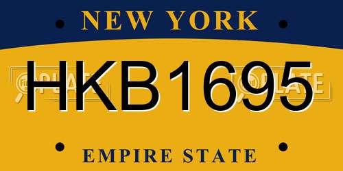 HKB1695 New York License Plate