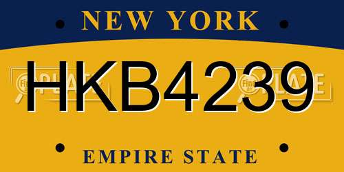 HKB4239 New York License Plate