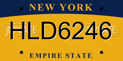 HLD6246 New York License Plate