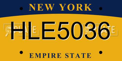 HLE5036 New York License Plate