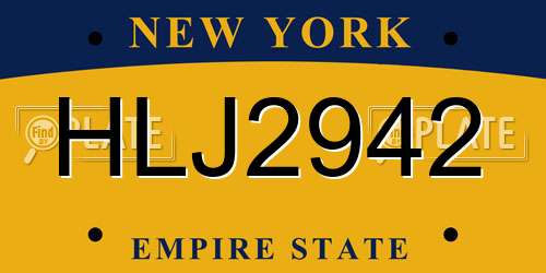 HLJ2942 New York License Plate