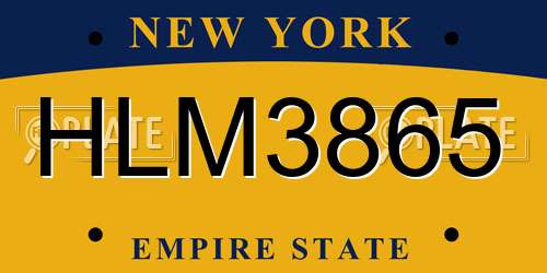 HLM3865 New York License Plate