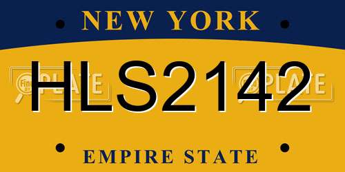 HLS2142 New York License Plate