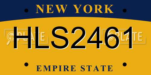HLS2461 New York License Plate