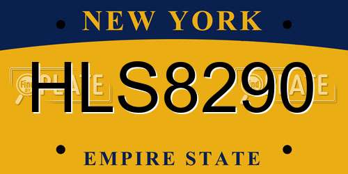 HLS8290 New York License Plate