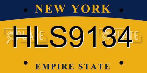 HLS9134 New York License Plate