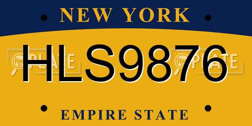 HLS9876 New York License Plate