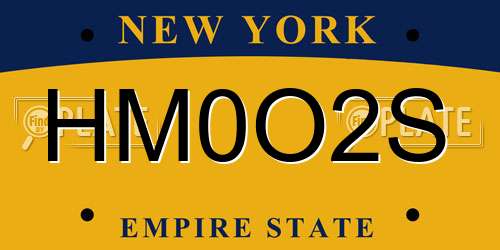 HM0O2S New York License Plate