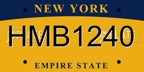HMB1240 New York License Plate